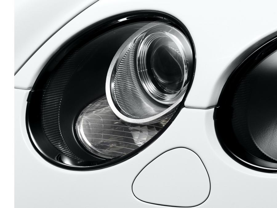 Детали экстерьера Bentley Continental SuperSports 2010 года  (фото 12 из 24)